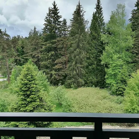 Apartment Gardens D36 *