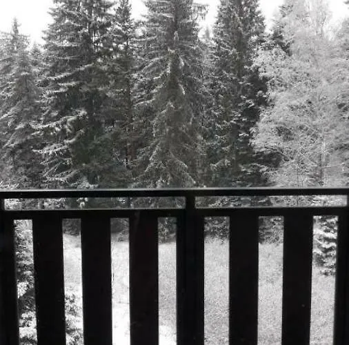 Gardens D36 Borovets